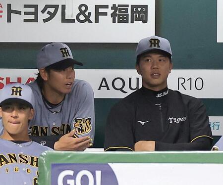 ８回、ベンチで言葉を交わす梅野（左）と才木（撮影・西田忠信）