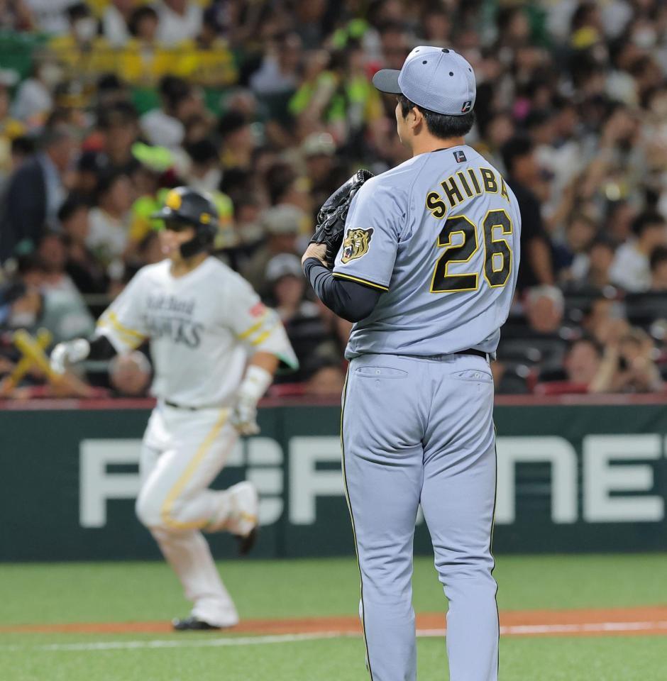 ４回、野村（左）にソロを浴びた椎葉（撮影・西田忠信）