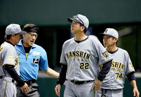 ７回、退場となりグラウンドを見つめながらベンチへ戻る藤川監督（撮影・田中太一）