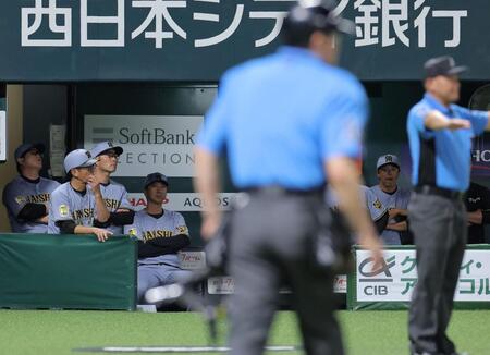 ７回、生還した野村のリプレー判定の結果をベンチから見つめる藤川監督（左から４人目）＝撮影・西田忠信