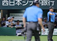 ７回、生還した野村のリプレー判定の結果をベンチから見つめる藤川監督（左から４人目）＝撮影・西田忠信
