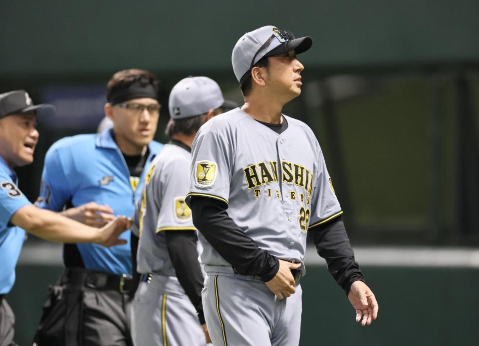 ７回、退場となりベンチへ引き揚げる藤川監督（撮影・田中太一）