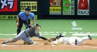 　７回、牧原大の右前打で生還する野村。捕手坂本