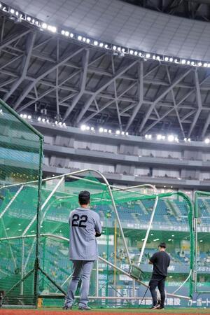 試合前練習を見る藤川監督（撮影・西田忠信）