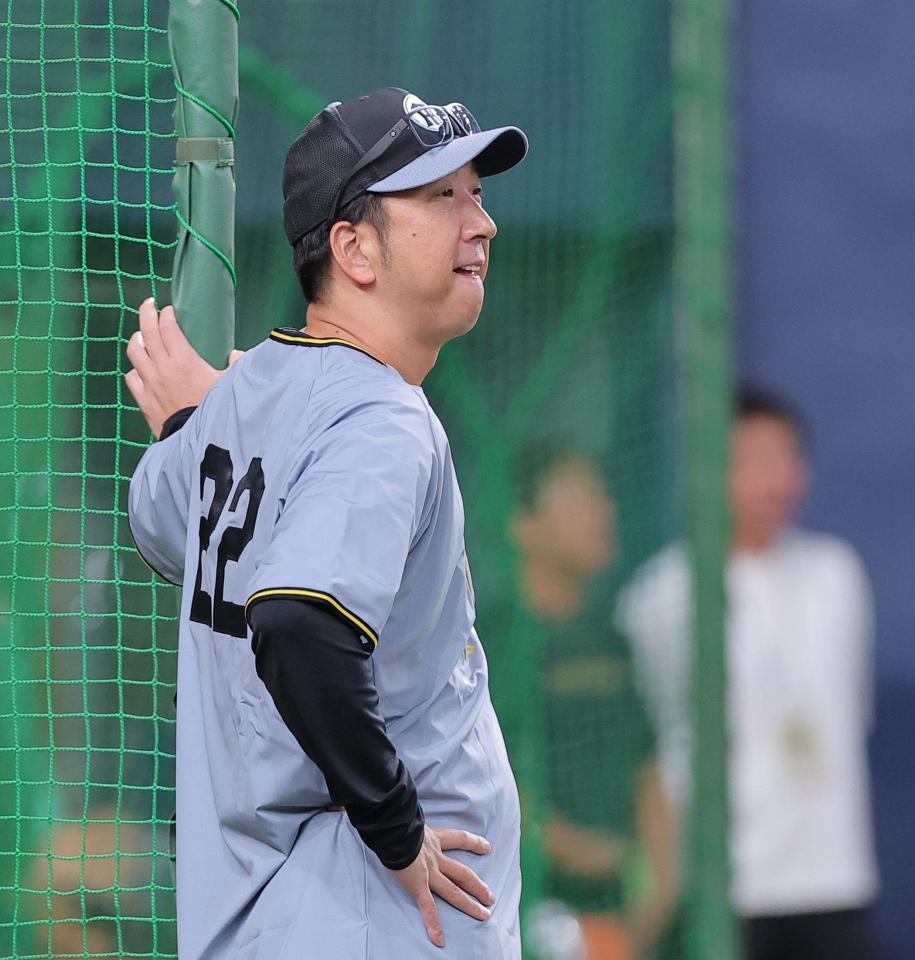 試合前練習を見る藤川監督（撮影・西田忠信）