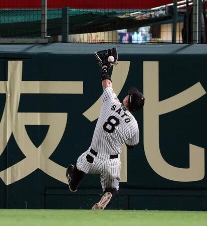 ６回、佐藤輝は石井の飛球を好捕する（撮影・山口登）