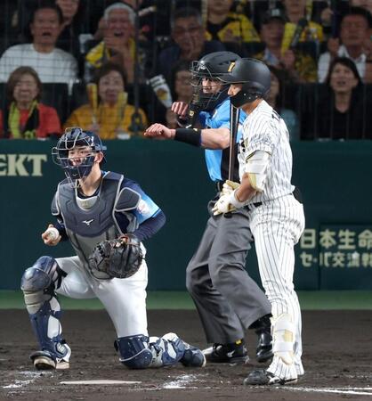 ７回、見逃し三振に倒れる立石（撮影・立川洋一郎）