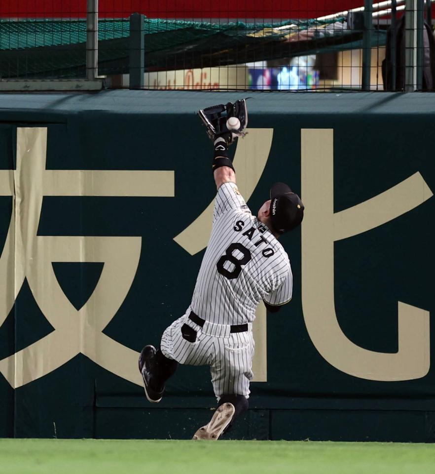 ６回、佐藤輝は石井の飛球を好捕する（撮影・山口登）