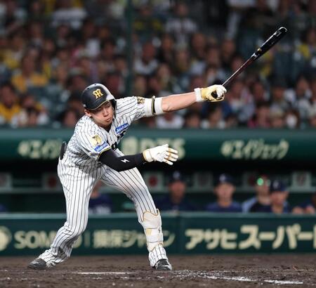５回、空振り三振に倒れる立石（撮影・山口登）