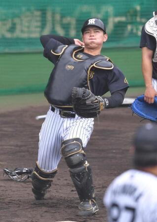 送球練習をする町田（撮影・出月俊成）