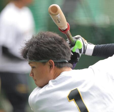 打撃練習をする森下（撮影・西田忠信）