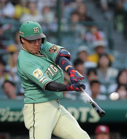 ２回、先制２ランを放つ大山（撮影・西田忠信）