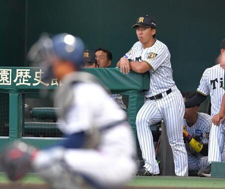 ベンチから試合を見つめる立石（撮影・出月俊成）