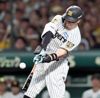 ７回、安打を放つ佐藤輝（撮影・田中太一）