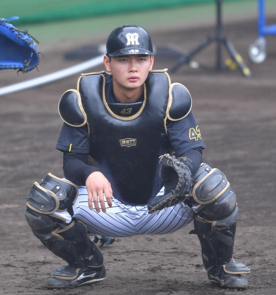 守備練習する町田（撮影・出月俊成）