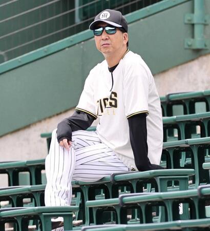　アルプス席から練習を見守る藤川監督（撮影・田中太一）