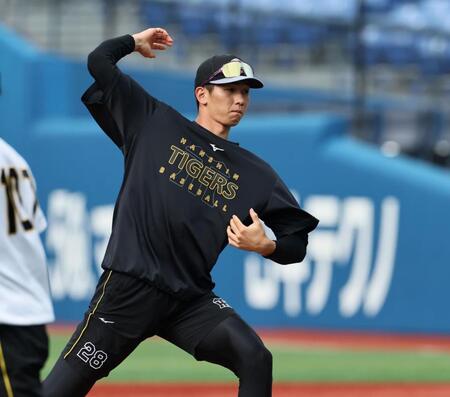 マウンドの感触を確かめる今朝丸（撮影・田中太一）