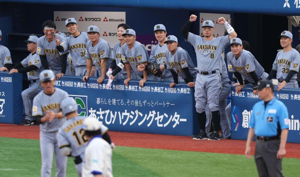 １回、坂本の２ランに笑顔の阪神ナイン（撮影・金田祐二）
