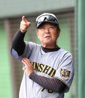 練習中、外野を指さす阪神・平田勝男２軍監督＝豊中ローズ球場（撮影・西田忠信）