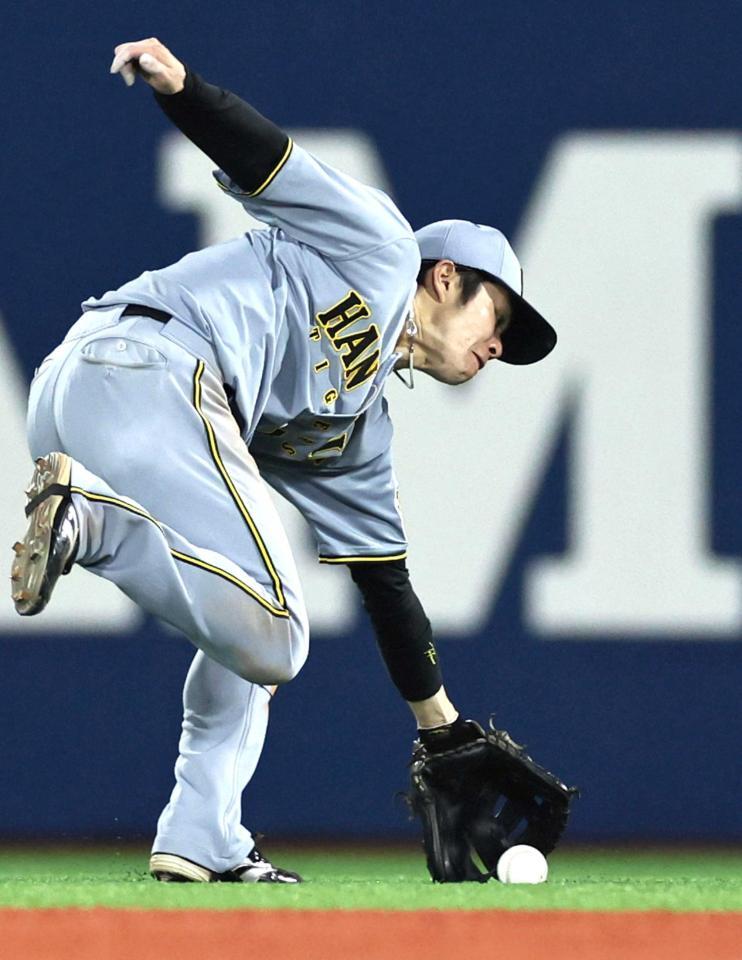 　８回、佐野の打球に追いつきアウトにする中野（撮影・田中太一）