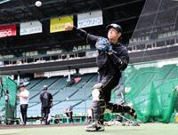 １軍に合流し、練習する梅野（撮影・山口登）