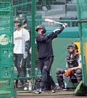 フリー打撃で打ち込む梅野（撮影・立川洋一郎）