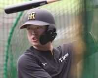 １軍に合流し打撃練習をする浜田（撮影・西田忠信）