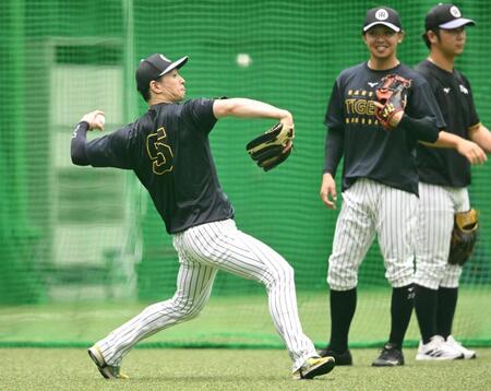 キャッチボールする近本（左）＝撮影・高部洋祐