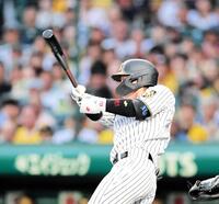 ２回、右犠飛を放つ梅野（撮影・山口登）