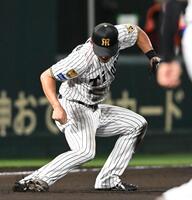 ７回、オイシックス・高義博の打球を好捕する立石（撮影・高部洋祐）