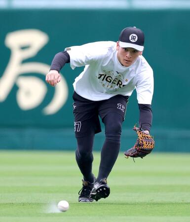 外野ノックを受ける高寺（撮影・立川洋一郎）