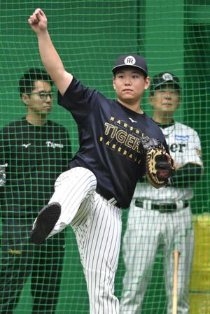 平田２軍監督（右奥）が見守る中、スローイング練習に励む嶋村（撮影・高部洋祐）