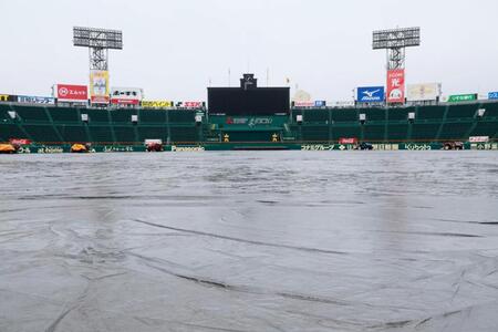グラウンドに掛けられたシートカバー。雨天中止が決まる（撮影・立川洋一郎）