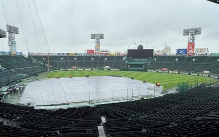 雨が降り注ぐ甲子園球場（撮影・田中太一）