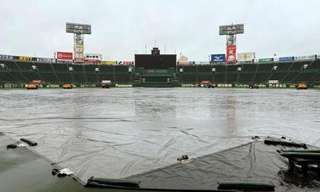 雨が降り注ぐ甲子園球場（撮影・田中太一）