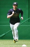 　軽めのダッシュを繰り返す近本（撮影・高部洋祐）