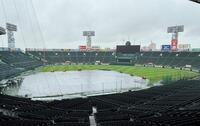 雨が降り注ぐ甲子園球場（撮影・田中太一）