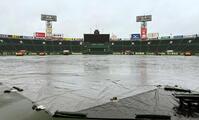 雨が降り注ぐ甲子園球場（撮影・田中太一）