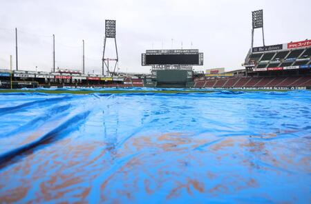 グラウンドにシートが敷かれたマツダスタジアム（撮影・北村雅宏）