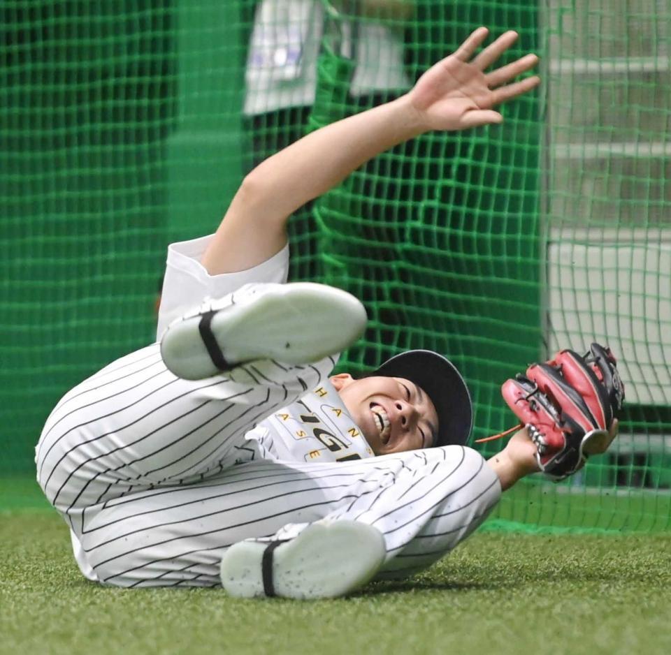 　ノックの打球に飛びつき、勢い余って転倒する立石（撮影・高部洋祐）