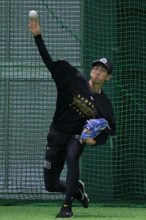 キャッチボールをする今朝丸（撮影・西田忠信）