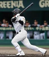 ２回、右前打を放つ立石（撮影・立川洋一郎）