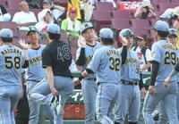 広島に勝利し、ナインを迎える藤川監督（左から２人目）＝撮影・北村雅宏
