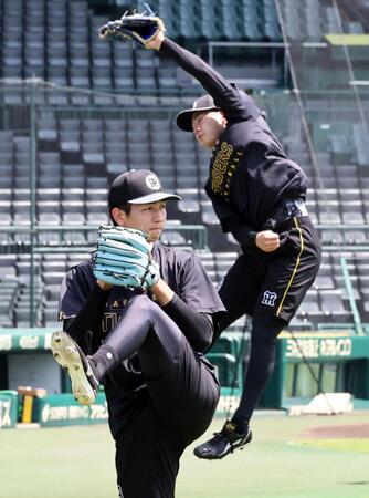 キャッチボールをする今朝丸（手前）と下村（撮影・田中太一）
