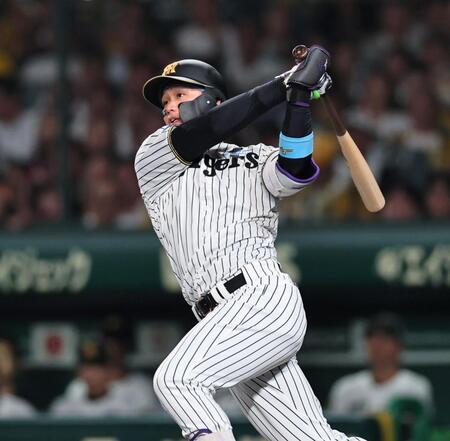 ６回、左越えへソロを放つ森下（撮影・田中太一）