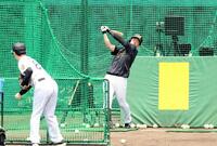 屋外でフリー打撃を行う近本