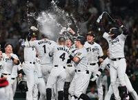 １０回、サヨナラソロを放った森下はナインから手荒い祝福を受ける（撮影・田中太一）