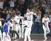 １０回、サヨナラ本塁打を放って生還し喜びを爆発させる森下（中央）＝撮影・立川洋一郎
