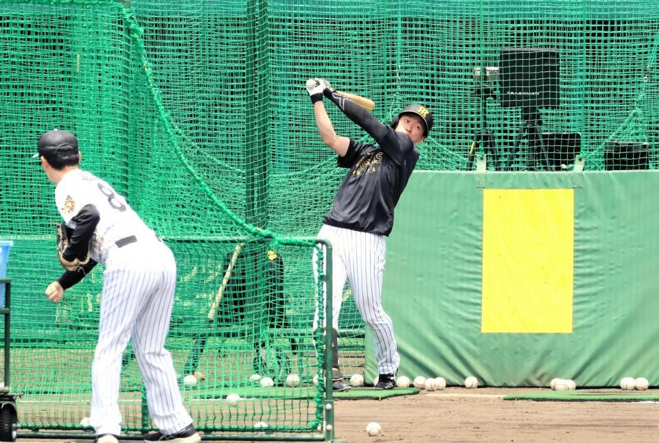 屋外でフリー打撃を行う近本