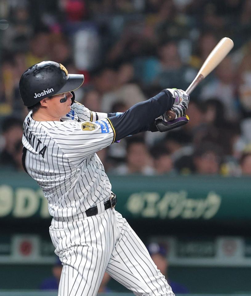 １０回、サヨナラ本塁打を放つ森下（撮影・西田忠信）